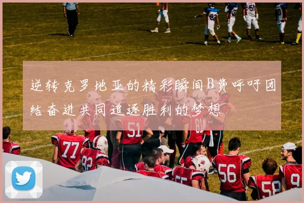 逆转克罗地亚的精彩瞬间B费呼吁团结奋进共同追逐胜利的梦想